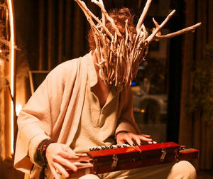 Тайсёгото, нюкельхарпа и дудук