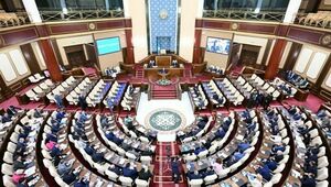 Парламент в бронзовых тонах