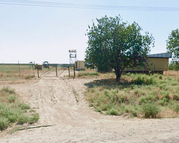 Разгром банды “мичуринцев”