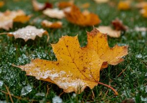 Град и заморозки ожидаются в четверг в некоторых регионах Казахстана