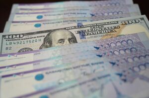 Миллионы в скрытой корзине