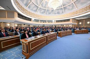 Продолжают необоснованно плодиться — Президент Казахстана поручил реформировать госсектор