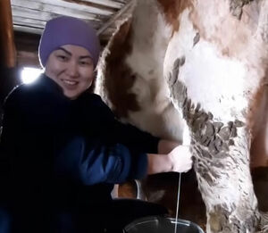 Гульбарам МУСАГАЗИНА: Ни от кого не прячусь!