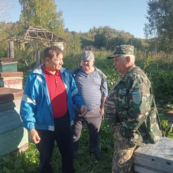 Медвежий угол