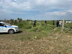 Целая спецоперация