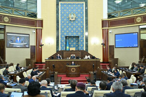 Незыблемый институт власти