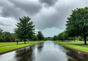 Дожди ожидаются в пятницу в большинстве регионов Казахстана