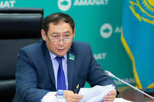 Нуржан АШИМБЕТОВ: Никто не мыслит стратегически