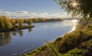 Последняя рыбалка