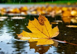 Дожди ожидаются в четверг в некоторых регионах Казахстана