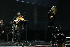 Птицы высокого полета