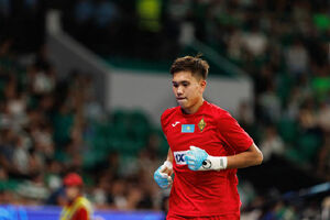 Досрочное поражение