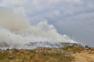 ЧС ввели, а вонь осталась