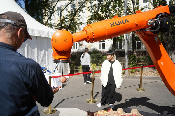 Яблочки цифровые