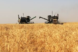 Укрепление позиций