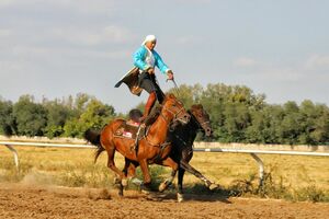 Так можно и в город выезжать!