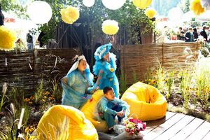 Время гортензий прошло