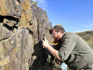 Как стирается память