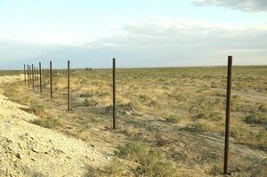 Зелёный шум