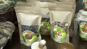 Сёла остались в плюсе