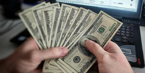 Валюта как с куста