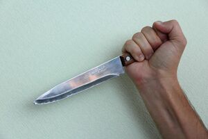 Кисок не трогать!