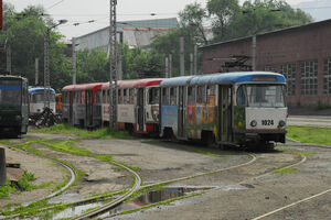 Они возвращаются