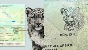 Паспорта с новым уровнем защиты начали получать казахстанцы