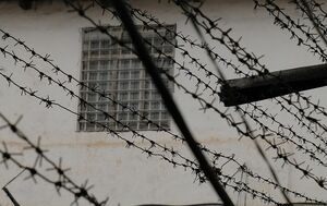 Хочу за колючку!