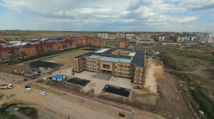 Взялся за гуж, оказался не дюж