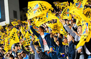 Фанаты в смятении