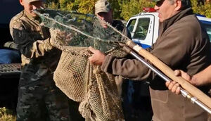 Покормим и отпустим