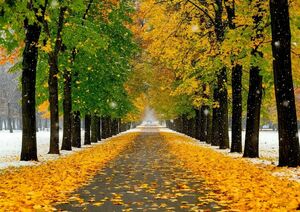 Дождь со снегом ожидается во вторник в ряде регионов Казахстана