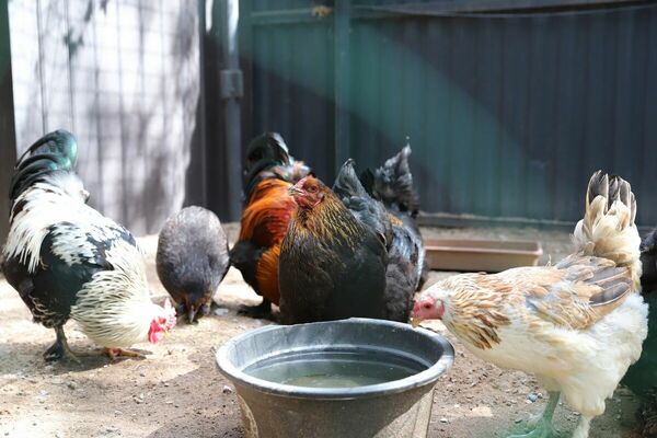 Одно за другое цепляется