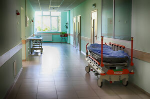 Бестерек оплакивает детей