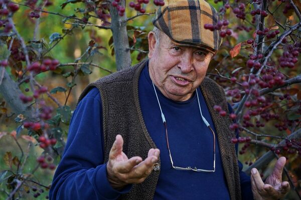 Коллекционер искушений