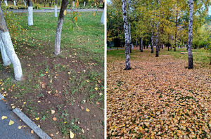 Осень голая…