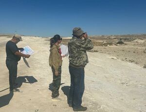 Держать руку на пульсе