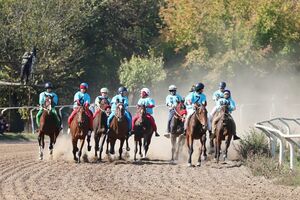 Побайговали