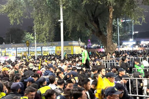 Задрали выше некуда!