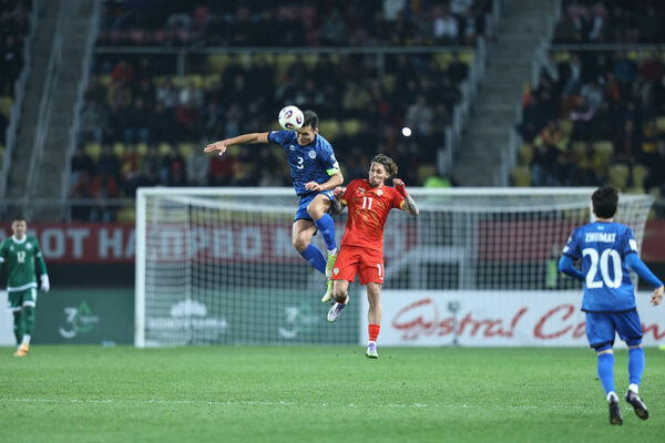 Удача вильнула хвостом