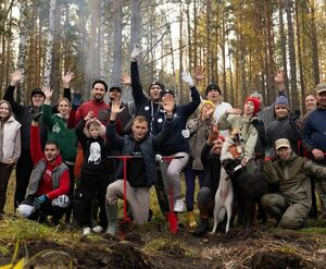 Ёлки-палки лес пустой...