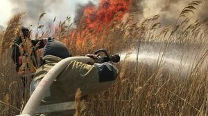 Ветер дал гари