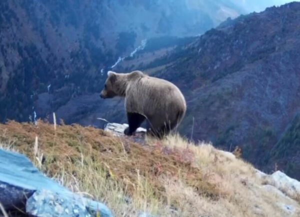 Снимают без разрешения!