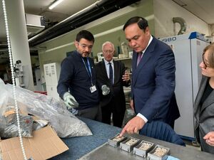 Во французской стороне