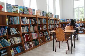 В Казахстане вдвое увеличено количество грантов по программе «Библиотечное дело, обработка информации и архивное дело»