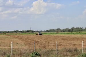 Вернули назад