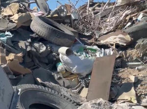 Штраф природе не поможет