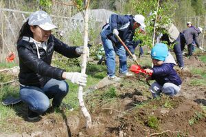 Своя работа