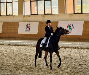 А конь-то - в пуантах!